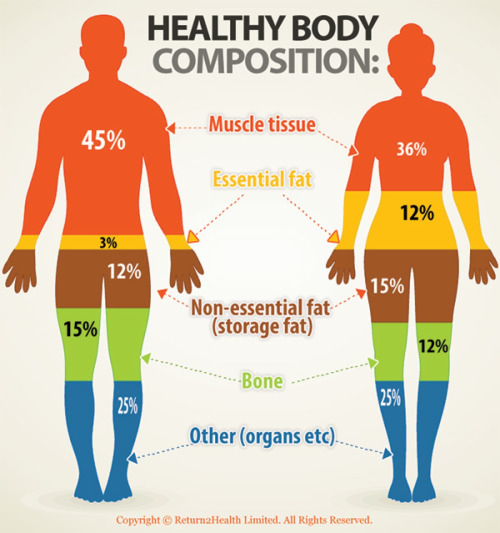 What Does A Healthy Female Body Look Like